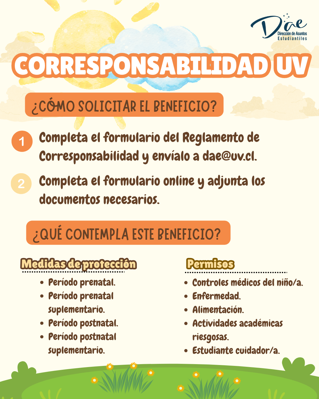 Paso a paso solicitud